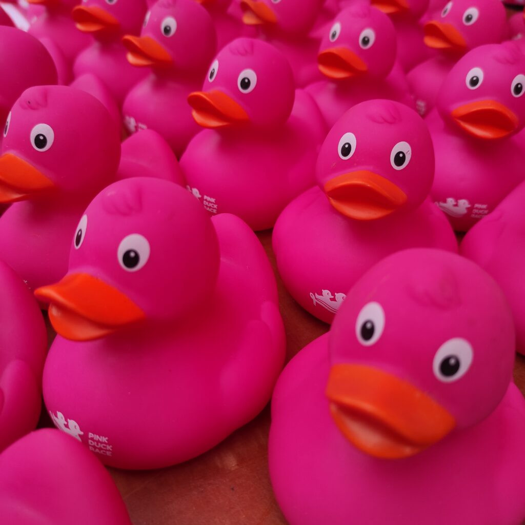 Quack Quack! 🦆💕